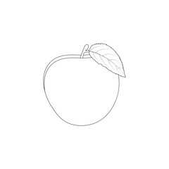 apple on a white background outline illustration