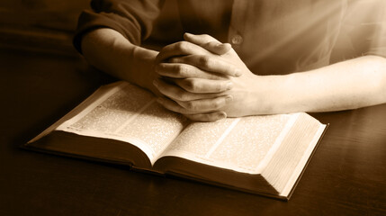 Woman's hands holding a bible