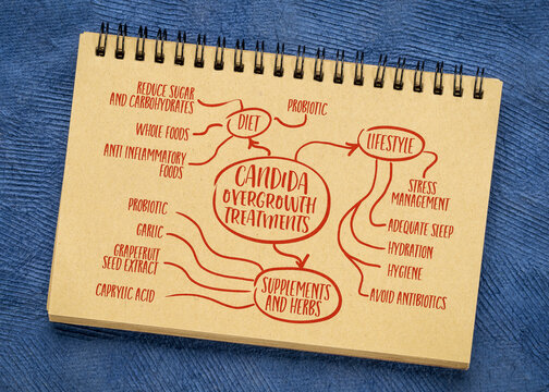 candida overgrowth treatment - infographics or mind map sketch on a notebook - wellness and health concept