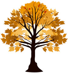 autumn tree isolated