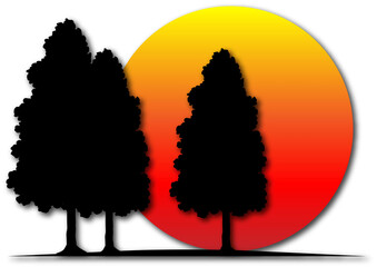 silhouette of a person in a park