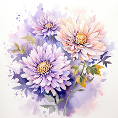 watercolour bright aster  flowers 