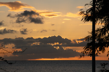 Coucher de soleil nuageux sur l'océan, silhouettes d'arbres au premier plan