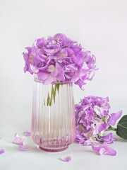 Bouquet of purple hydrangea flower in glass vase on light background. Pink hornesia flower bunch with purple petal as home decoration. Minimalist floral concept. Pink aesthetic. Vertical flower layout