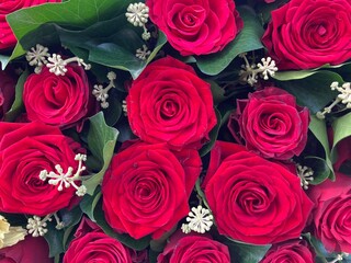 Rote Rosen mit weißen Blumen formatüllend nach Beerdigung auf dem Friedhof - 644480442