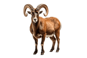 Majestic Ibex Isolated on a Transparent PNG Background. Generative Ai