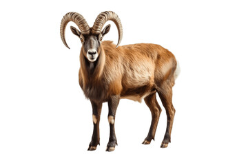 A Stunning Ibex Isolated on a Transparent PNG Background. Generative Ai