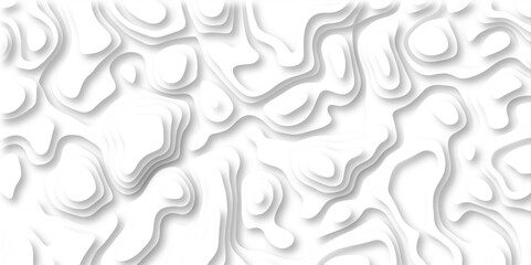 Abstract wavy line 3d paper cut white background. Topographic canyon geometric map relief texture with curved layers and shadow. paper cut 3d render topography abstract ,beautiful white color.