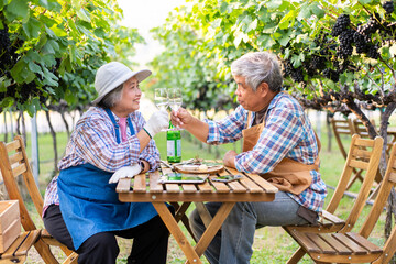 Portrait of senior winemaker holding in his hand a glass of new white wine. Smiling happy elderly couple enjoying a picnic together in own vineyard. Agricultural concept, Small business, retirement