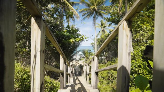 Footprints POV steps dawn forward stairs beach seaside. Tropical island beach palm buttom view.