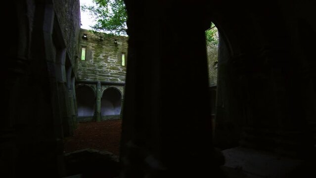 Yew tree in center of abby monastery during dawn through castle windows.