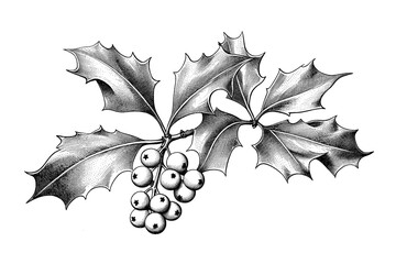 Naklejka premium Vintage style illustration of a christmas festive holly branch
