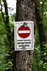 no entry sign on tree