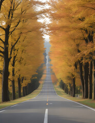road in autumn forest