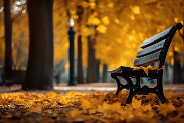 Foto op Canvas Park bench under autumn leaves © Julia Jones