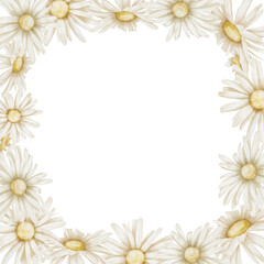 Daisy Frame. Hand drawn watercolor illustration of square Border with Chamomile flowers on isolated background. Botanical Template for greeting cards or wedding invitations. Drawing for icon or logo.