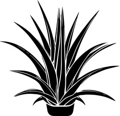 Bromeliaceae plant icon 1