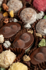 Truffle chocolate. Various chocolate pralines in bulk. close up