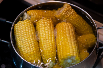 Home cooking boiled corn in a saucepan. Lots of sweet, tasty and boiled corn.