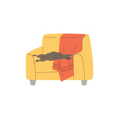 Funny dog sleeping on armchair or couch, flat vector illustration isolated on white background.