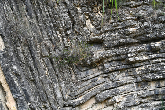 Synclinal fold in Jurassic limestone of Valencia (Sot de Chera, Spain).
