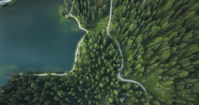 Aerial view of Misurina Lake coastline with forest along the coast at sunset, Auronzo di Cadore, Dolomites, Veneto, Italy.