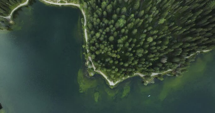 Aerial view of Misurina Lake coastline with forest along the coast at sunset, Auronzo di Cadore, Dolomites, Veneto, Italy.