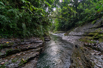 Enchanted places in the jungle, pure water, river and enchanted forest