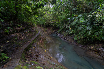 Enchanted places in the jungle, pure water, river and enchanted forest