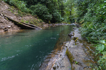 Enchanted places in the jungle, pure water, river and enchanted forest