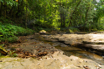 Natural trail with rivers and waterfalls in the jungle