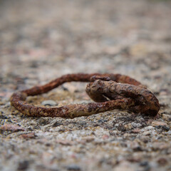 Fototapeta premium RUST - Rusty old metal element on the wall
