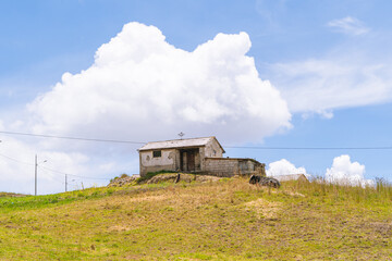 Panoramic view, green countryside landscape, fertility of nature