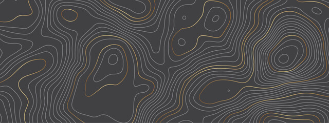 Abstract luxury golden and black wave lines art background. Background of the topographic map. Design used for wall art, fabric, packaging, web, banner, wallpaper.
