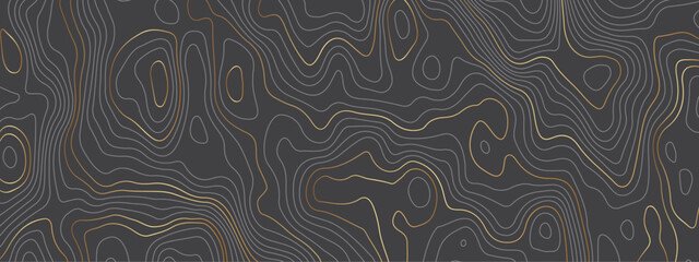 Abstract luxury golden and black wave lines art background. Background of the topographic map. Design used for wall art, fabric, packaging, web, banner, wallpaper.