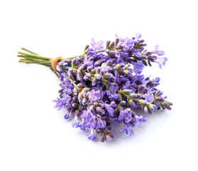Obraz premium Lavender flower on white backgrounds.
