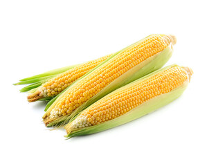 An ear of corn isolated on a white background.