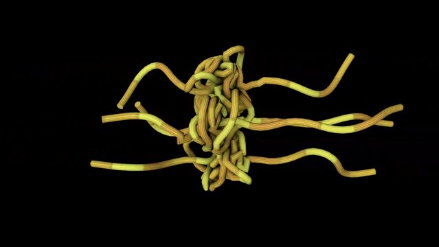 3D abstract animation on a black background. Animation of yellow ropes.