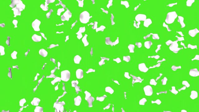 Falling white rose petals on a green screen. 3D render animation. Video effect for valentine's day and wedding. Rain of rose petals.