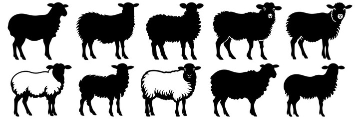 Sheep farm animal silhouettes set, large pack of vector silhouette design, isolated white background © FutureFFX