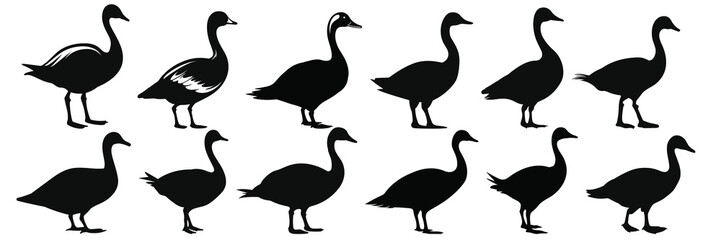 Duck goose hunting silhouettes set, large pack of vector silhouette design, isolated white background © FutureFFX