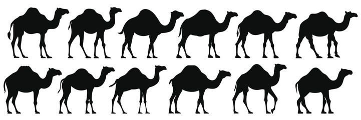 Camel desert silhouettes set, large pack of vector silhouette design, isolated white background