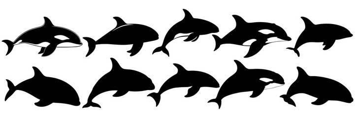 Fototapeta premium Whale orca silhouettes set, large pack of vector silhouette design, isolated white background