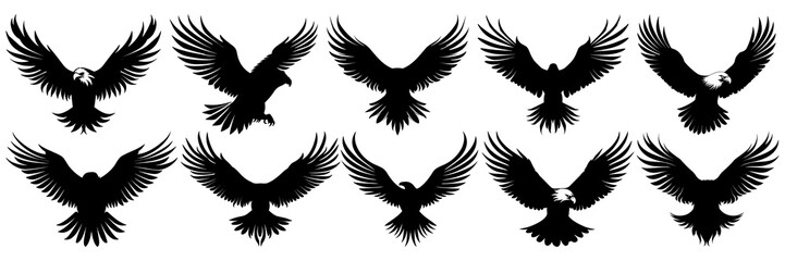 Eagle silhouettes set, large pack of vector silhouette design, isolated white background