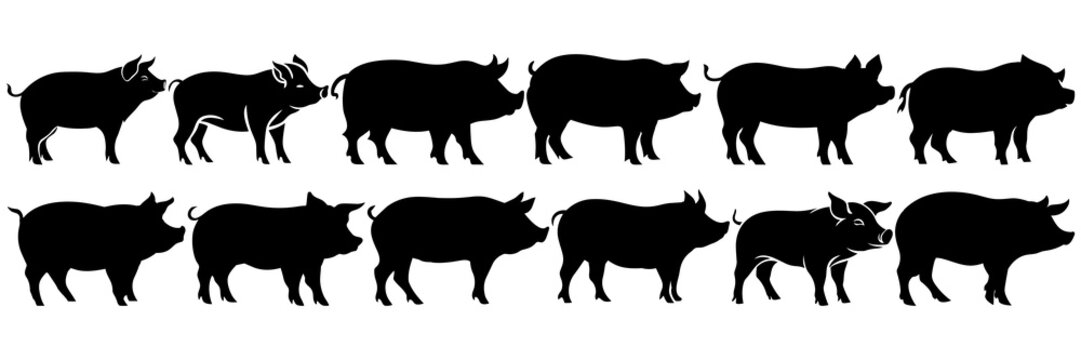 Pig farm animal silhouettes set, large pack of vector silhouette design, isolated white background