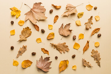 Autumn composition. Pattern made of dried leaves and other design accessories on table. Flat lay,...