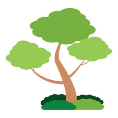 Tree Flat Illustration