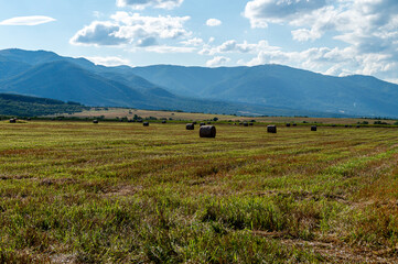 Landscape of straw bales in late summer