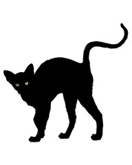 Cat vector Silhouette illustration