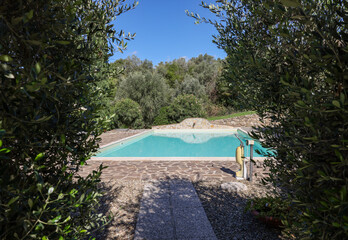 A swimming pool on the Montemassi hillside surrounded by cypresses and oleanders n the province of...